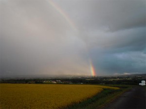20120919_2.jpg