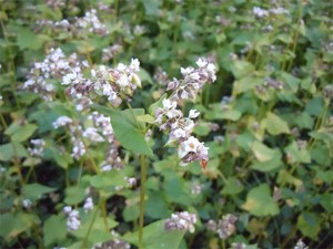 20120920_2.jpg