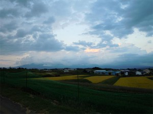 20120921_3.jpg