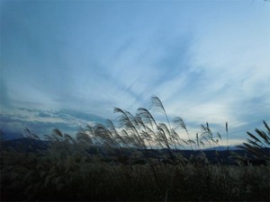 20121005_3.jpg