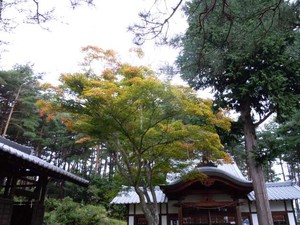 20121006_2.jpg