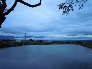 20121018_2.jpg
