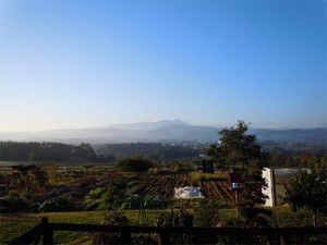 蛇、へび、ヘビ