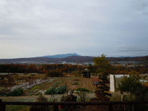 20121111_1.jpg