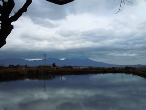 20121117_3.jpg