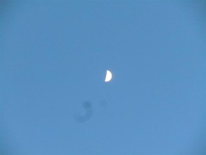 20121120_2.jpg