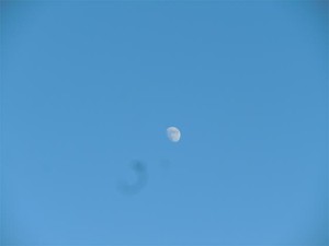 20121124_2.jpg