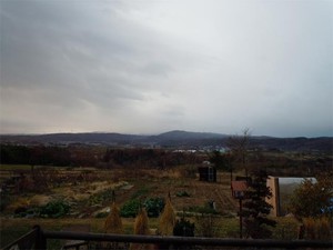 20121126_1.jpg