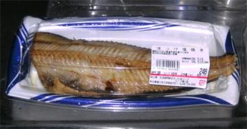 魚づいている日