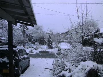 雪