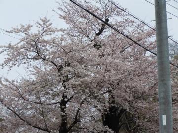 こればっかり