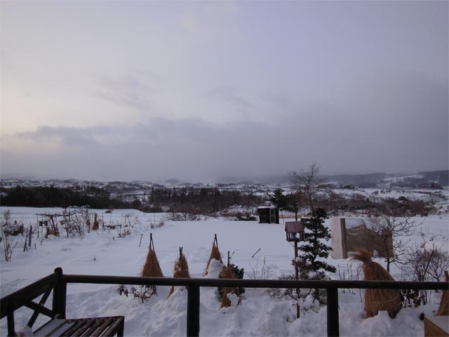 予報に無いのに雪