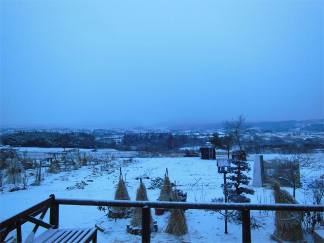 雪