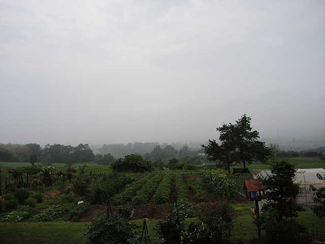 雨