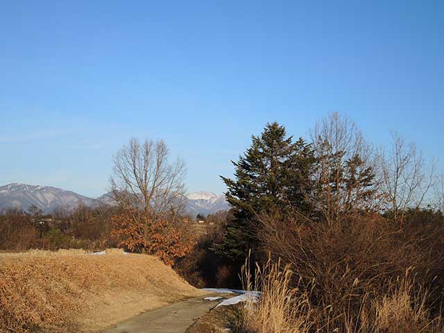 20141228_4.jpg 20141228_4.jpg
