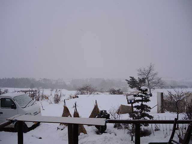 雪な一日