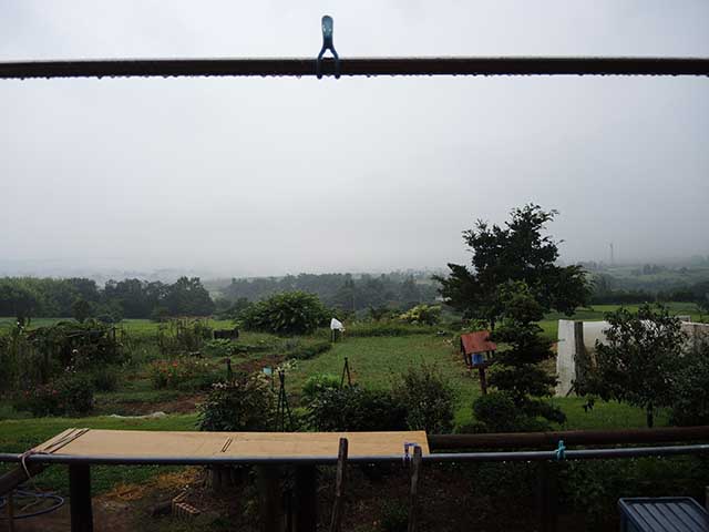 小雨