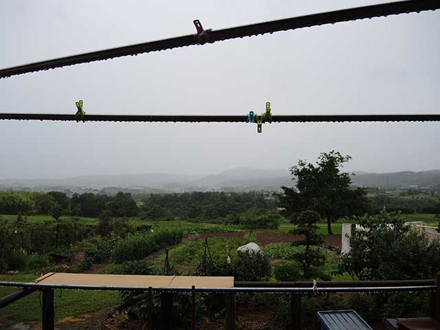雨
