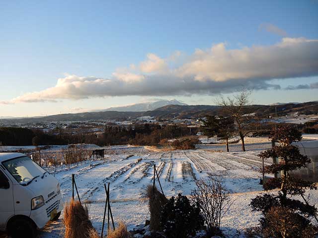 雪のあと