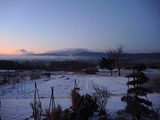 久しぶりに雪