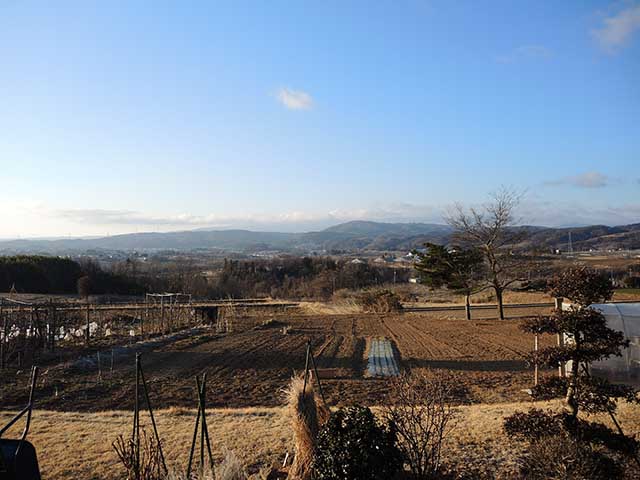 休日出勤で遅い帰り