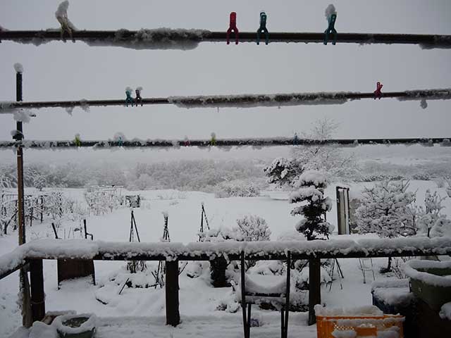 また雪