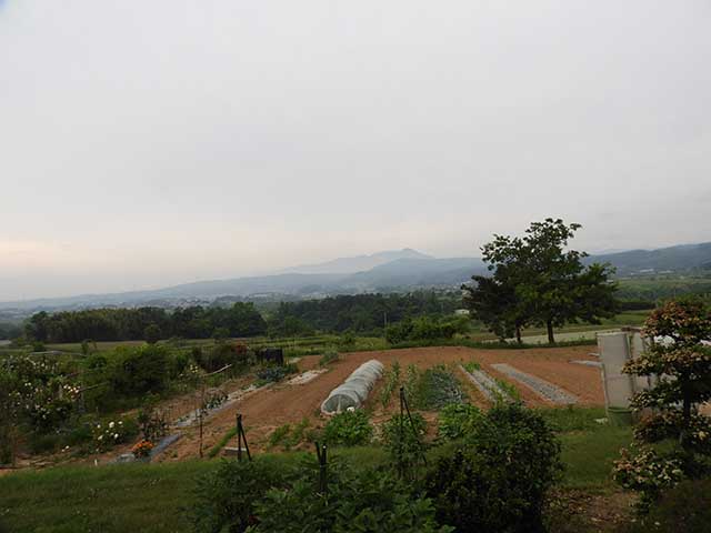 梅雨入り