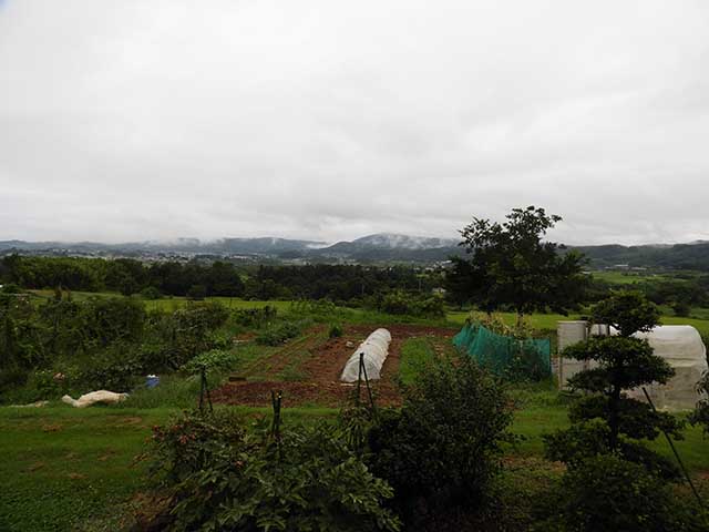 20170814_1.jpg 20170814_1.jpg