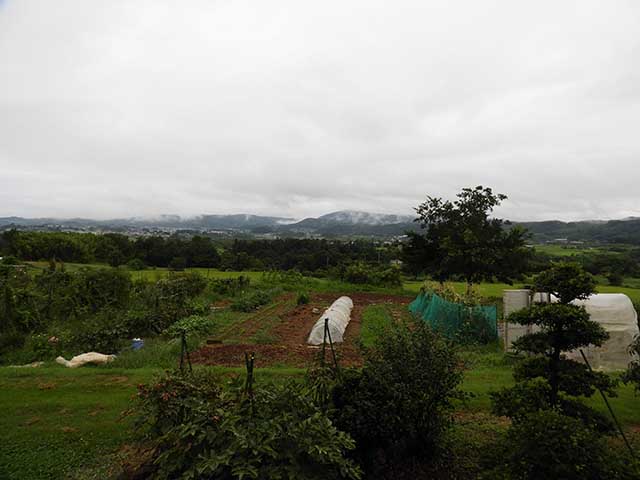 CBR用マルチバー他到着＆雨後の花火