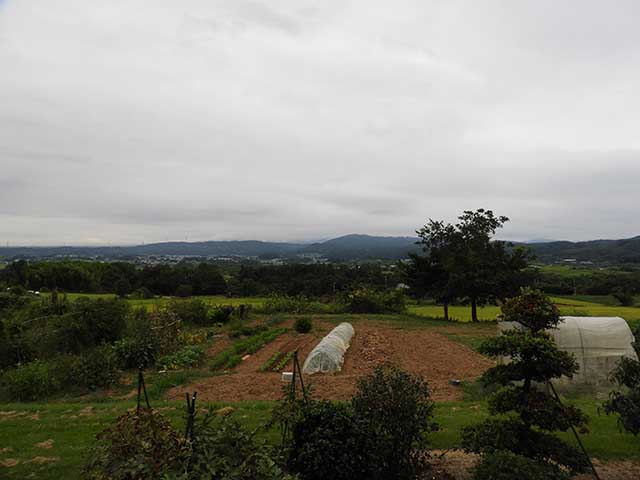 20170902_1.jpg 20170902_1.jpg