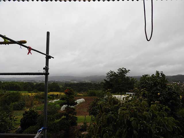 朝雨で日中曇り