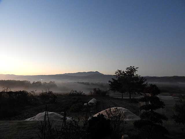 20171107_1.jpg 20171107_1.jpg