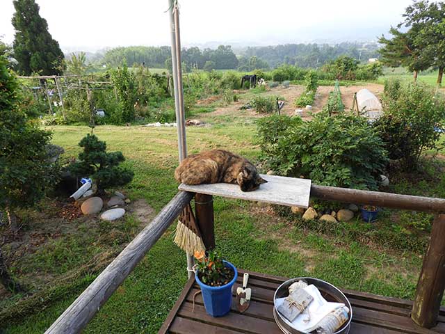 20180720_2.jpg 20180720_2.jpg