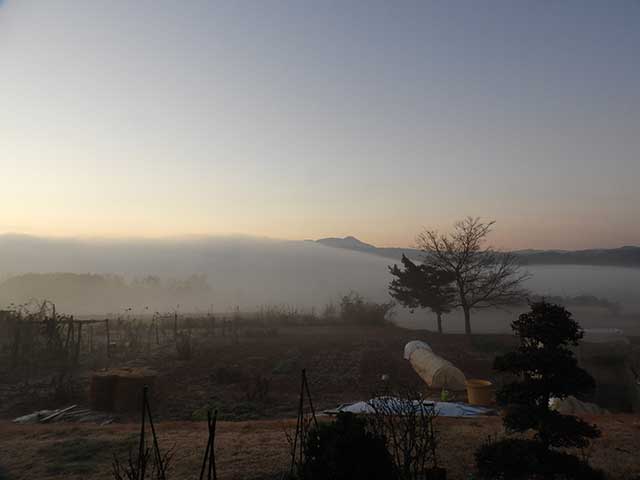 雲海