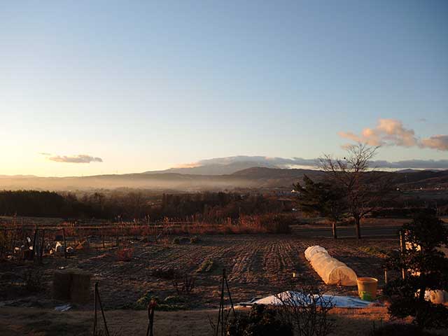 今朝の風景