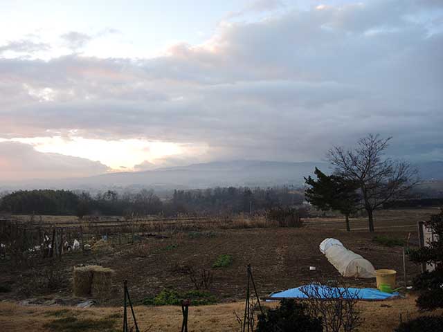 ひたすら休養な日