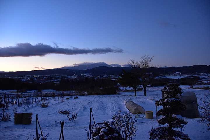 昨夜また雪