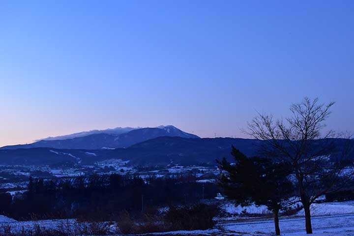 灯油電動ポンプ購入