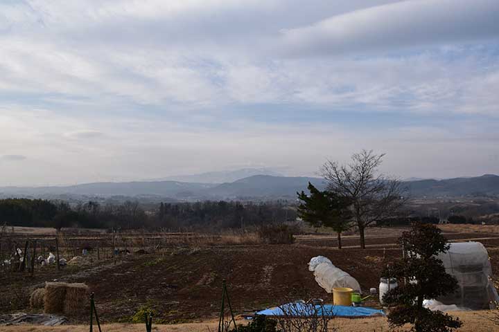 20190306_1.jpg 20190306_1.jpg