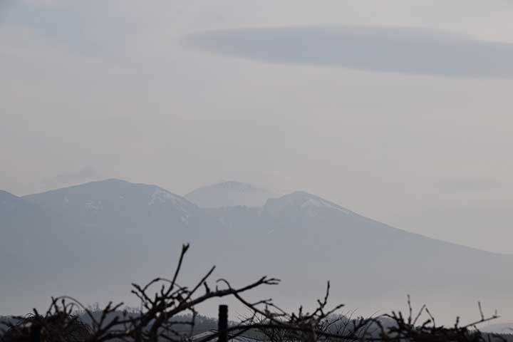 20190306_2.jpg 20190306_2.jpg