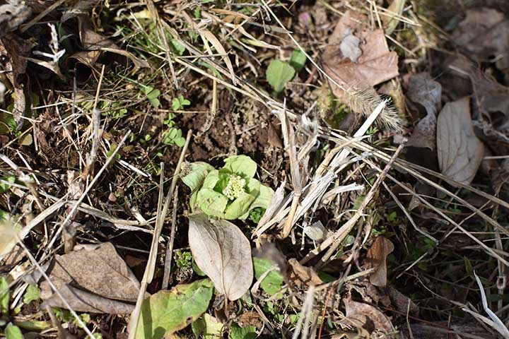 20190306_6.jpg 20190306_6.jpg