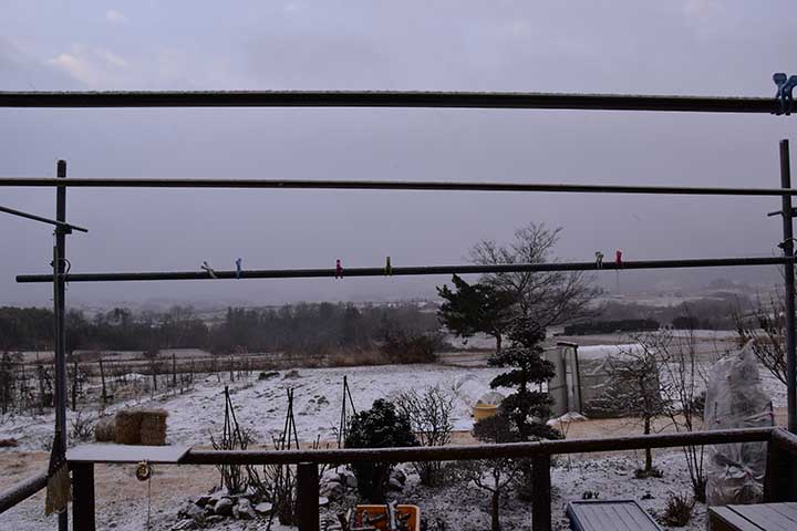 20190314_1.jpg 20190314_1.jpg