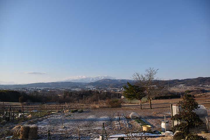 20190402_1.jpg 20190402_1.jpg