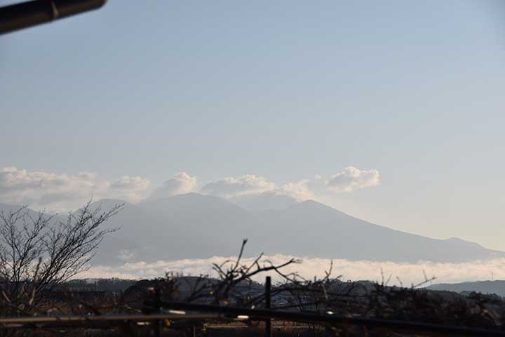 20190402_4.jpg 20190402_4.jpg