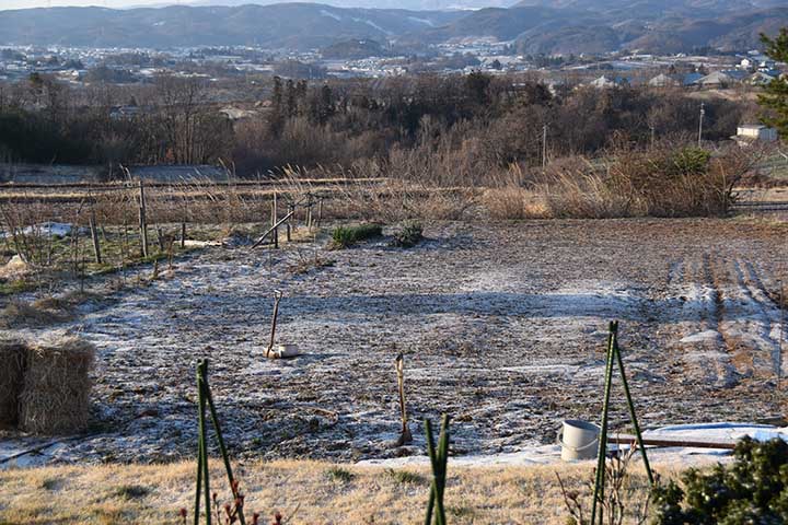20190402_6.jpg 20190402_6.jpg