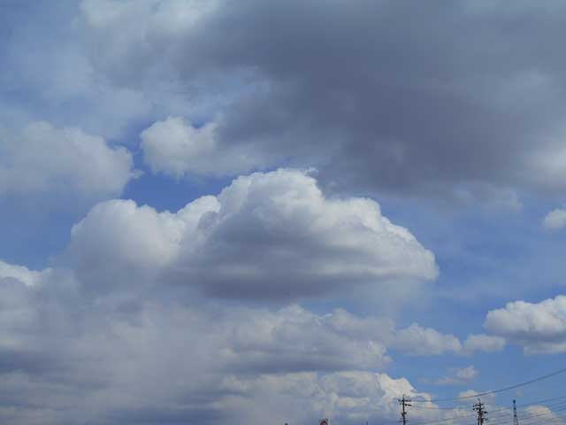 20190402_9.jpg 20190402_9.jpg