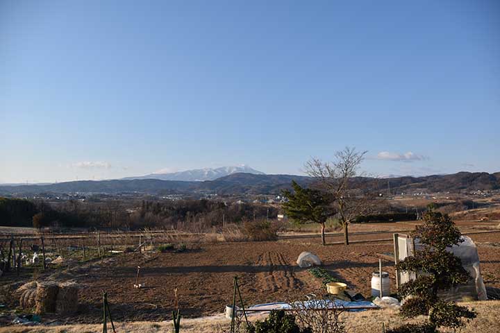 20190403_1.jpg 20190403_1.jpg