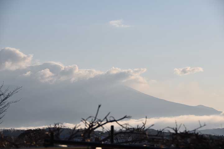20190403_3.jpg 20190403_3.jpg