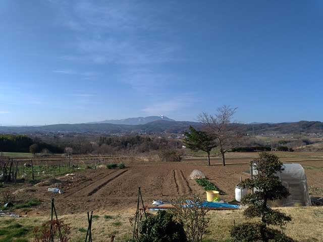 CBRタンク内塗装＆八重桜満開