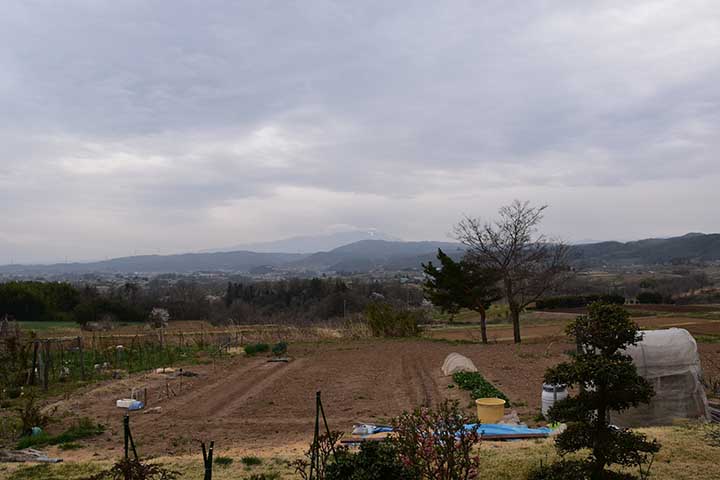 免許書換＆床屋＆CBRタンク未完＆桜と桃の花